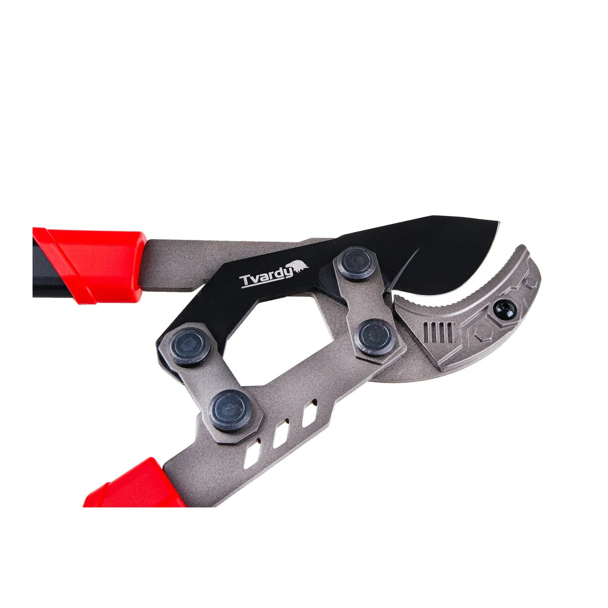 Tvardy telescopische takkenschaar met ratel en aambeeldmes 730 - 970 mm 65Mn PTFE
