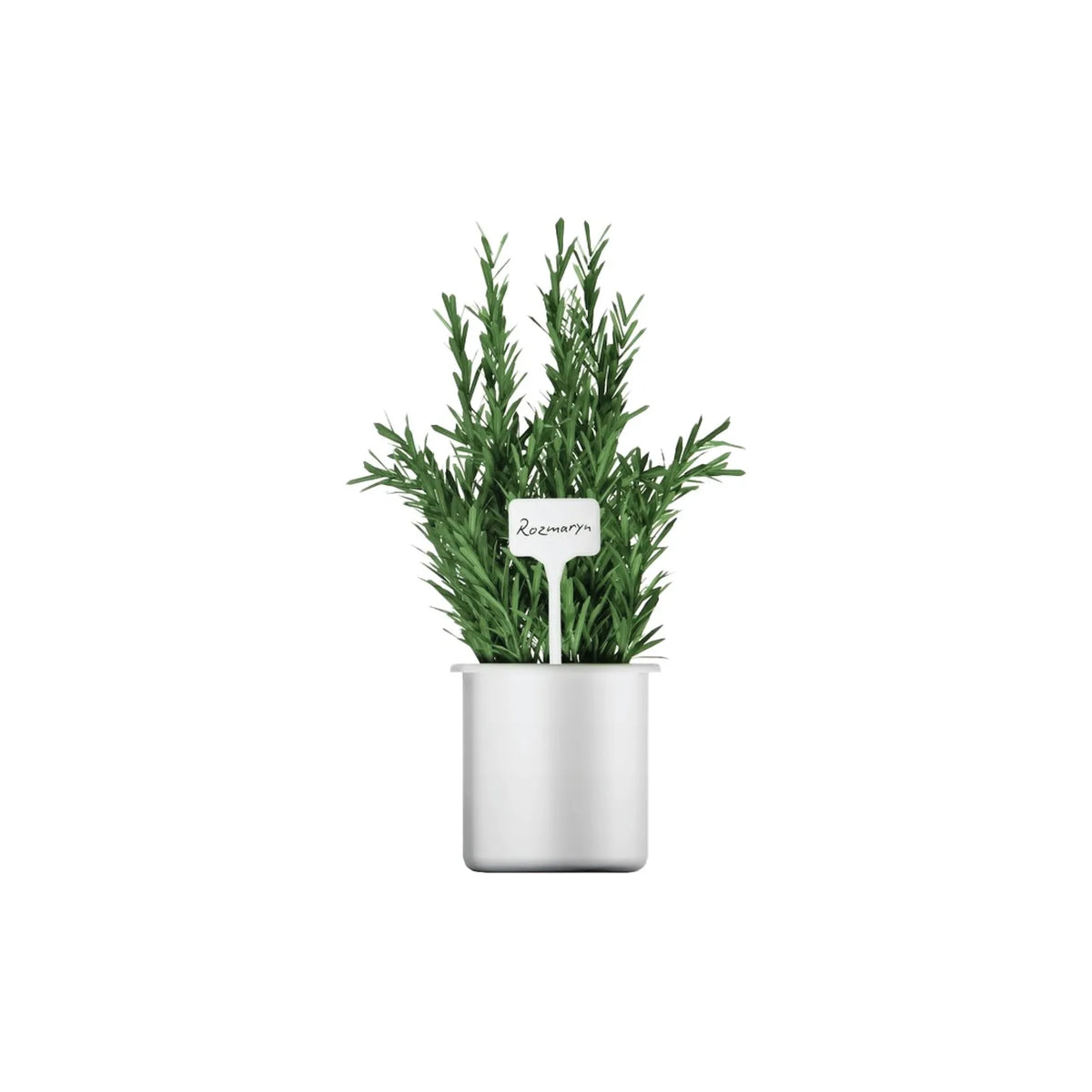 GEKO Plantenlabels voor planten 15x6 cm wit 10 stuks