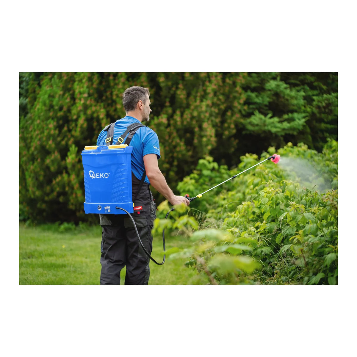 GEKO Accu-rugspuit 16L blauw Type