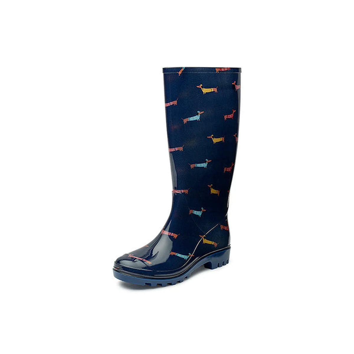GVVTECK regen- en winterlaarzen Gevavi Boots blue